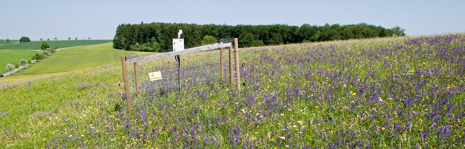 Biodiversity Exploratories_wide