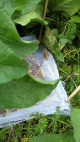 IMG_20171003_140655623