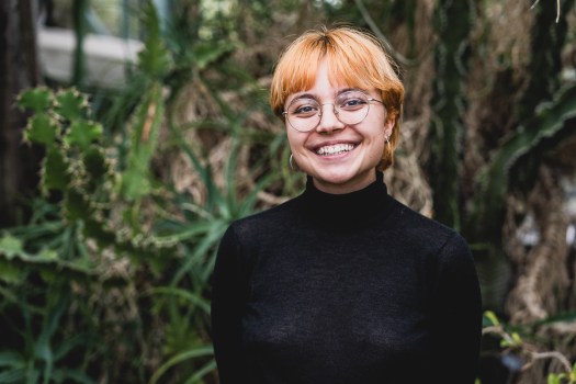 Portrait, portraits, IPS, Allan, group picture